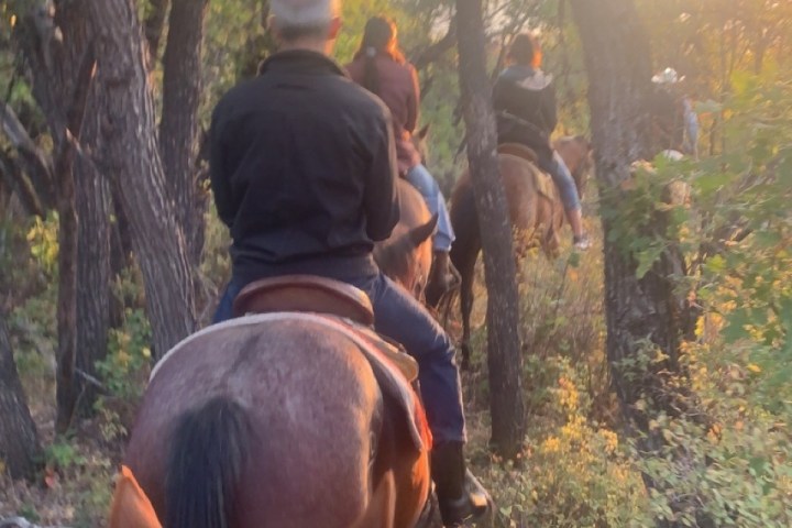 a person riding a horse