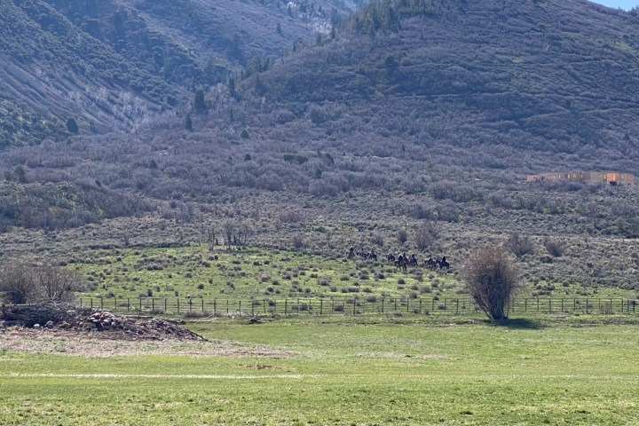 a large green field with a mountain in the background