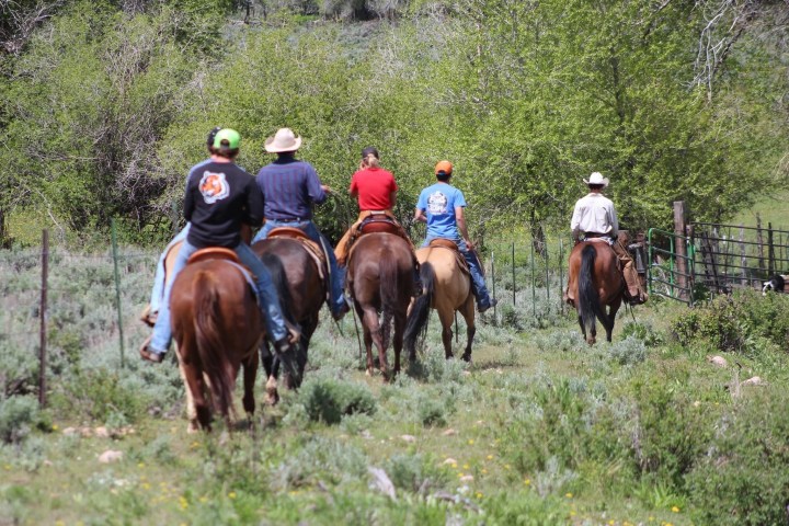 a group of people riding on the back of a horse