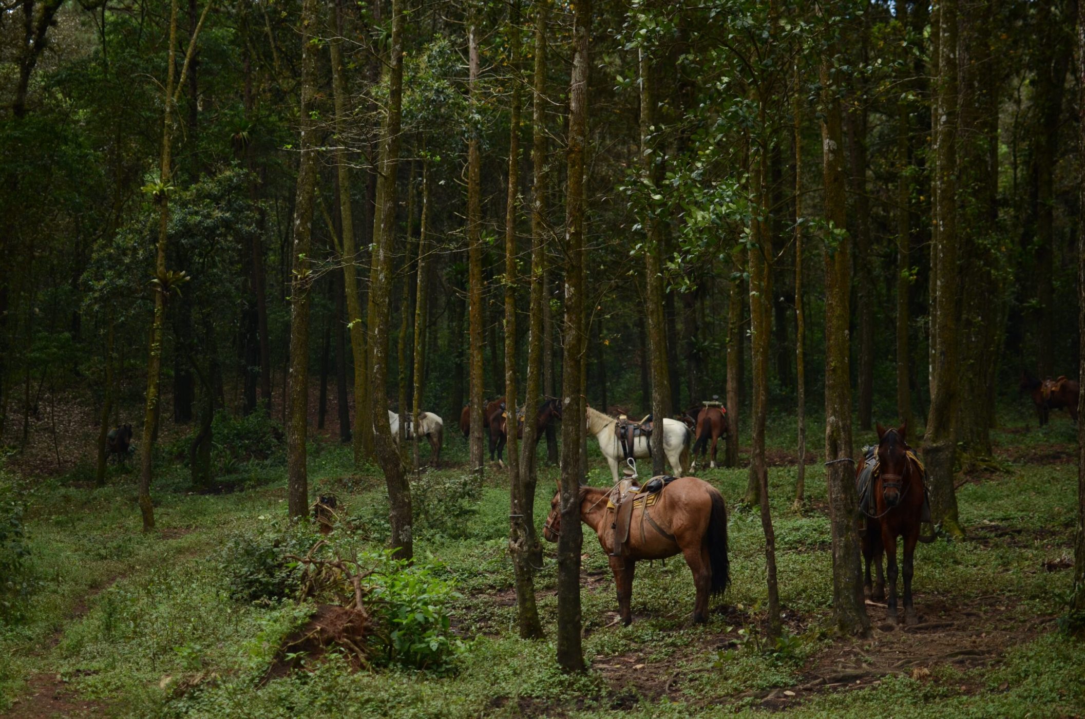 Boulder Mountain Ranch at Deer Valley - Photo 1