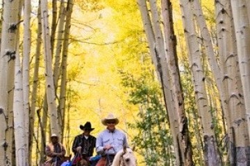 a group of people riding on the back of a horse