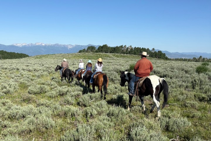 Group of people riding horses on a grassy field with mountains in the background.