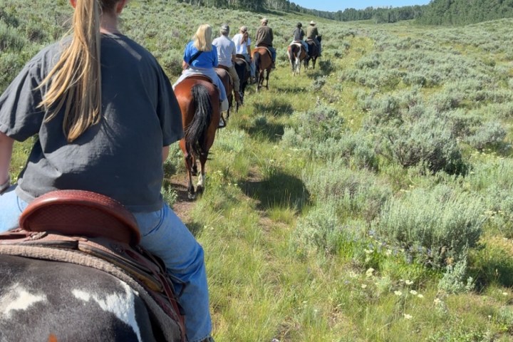 People horseback riding in a line on a grassy trail under clear blue sky.