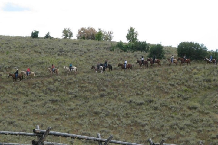Group of people riding horses across a grassy hill.