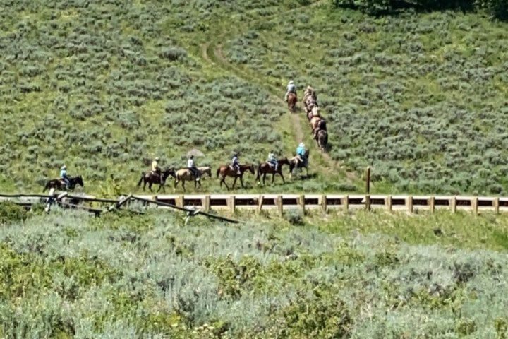 Group of people riding horses on a trail through a grassy hillside.